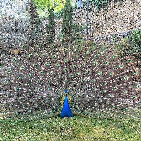 Domaine De Pipangaille Bed & Breakfast Andancette Bagian luar foto